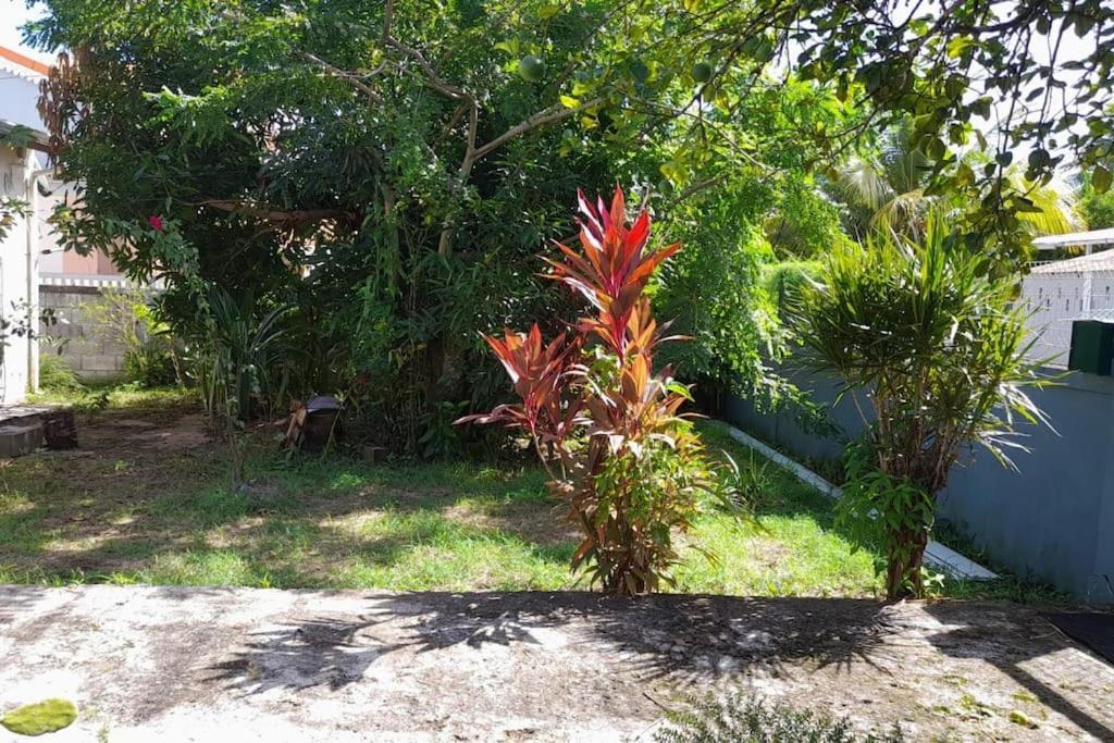 La Petite Maison, Spacieuse, Avec Jardin / Parking Sainte-Rose Esterno foto