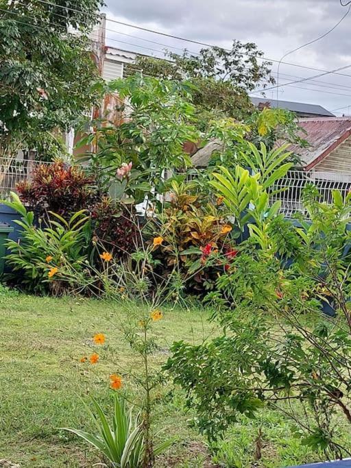 La Petite Maison, Spacieuse, Avec Jardin / Parking Sainte-Rose Esterno foto